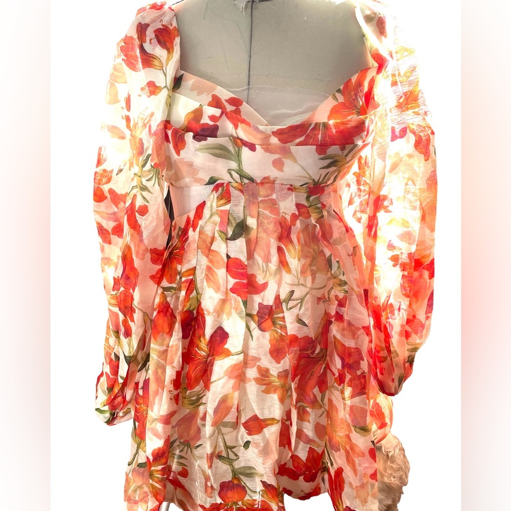 Zimmermann Mini Dress